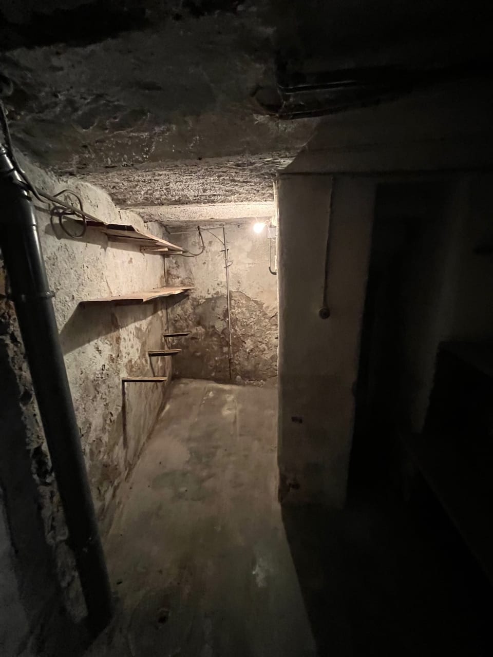 Cave entièrement vidée après débarras en Lorraine